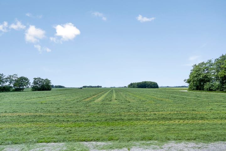 Foto 49 van Ds. Pelstraat 35