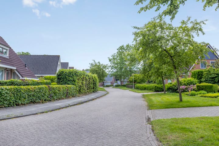 Foto 48 van Ds. Pelstraat 35