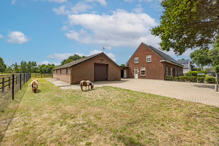 Foto 2 van Hoenderstraat 6