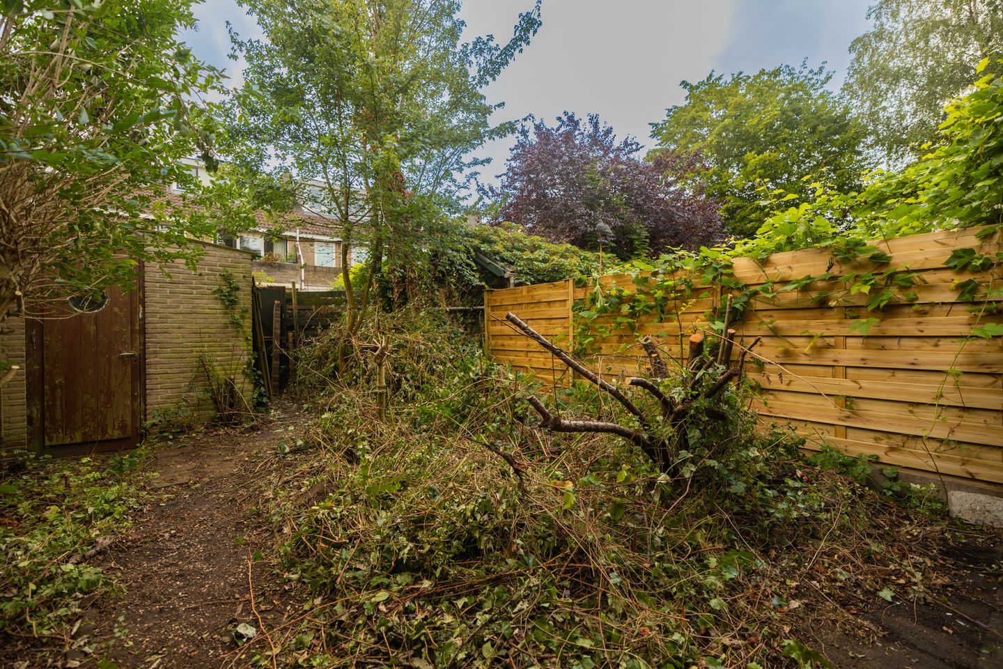 Photo 20 of Cremerstraat 382