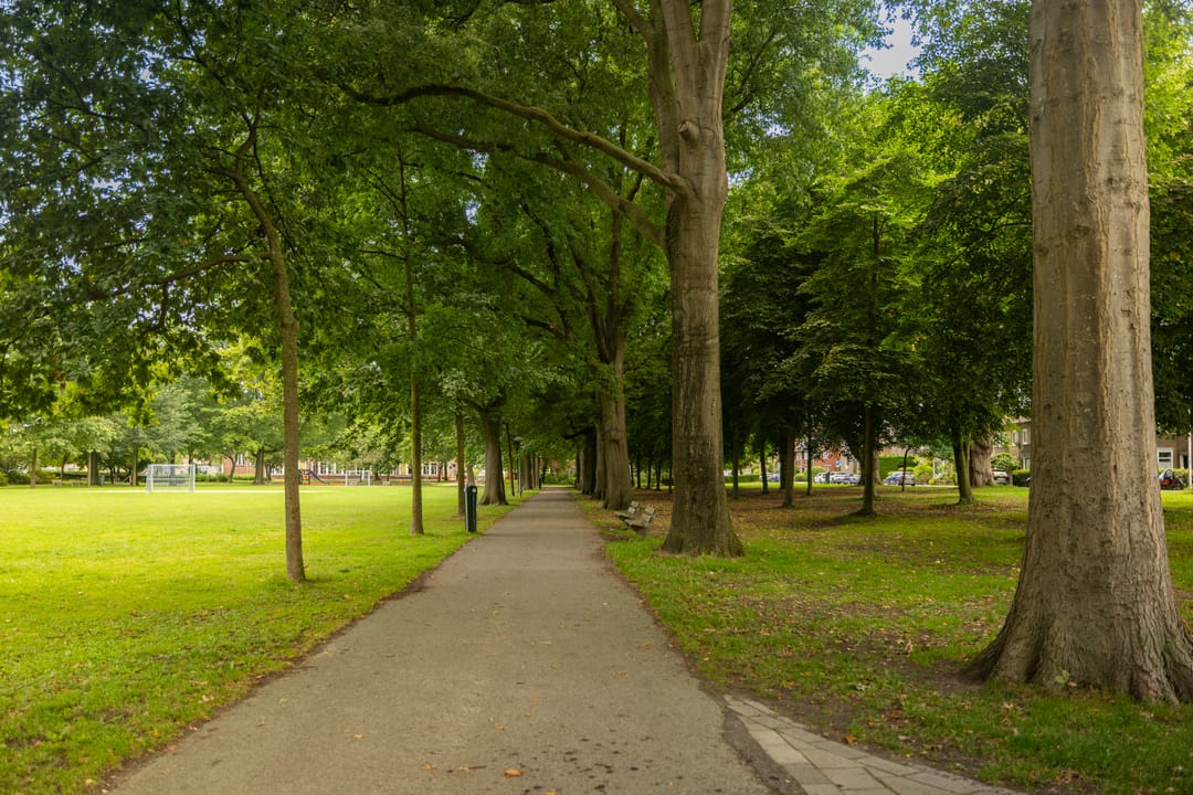 Photo 28 of Cremerstraat 382