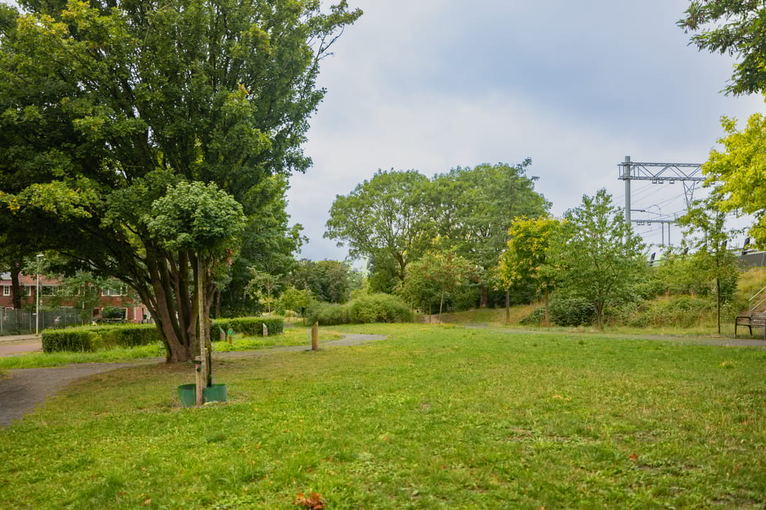 Photo 31 of Cremerstraat 382