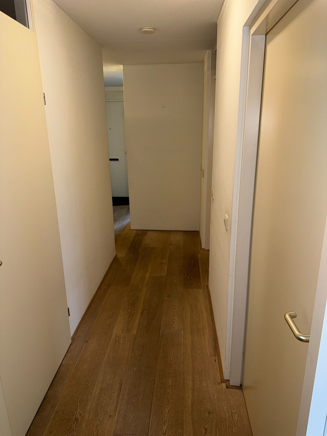 Foto 7 van Hooftstraat 279