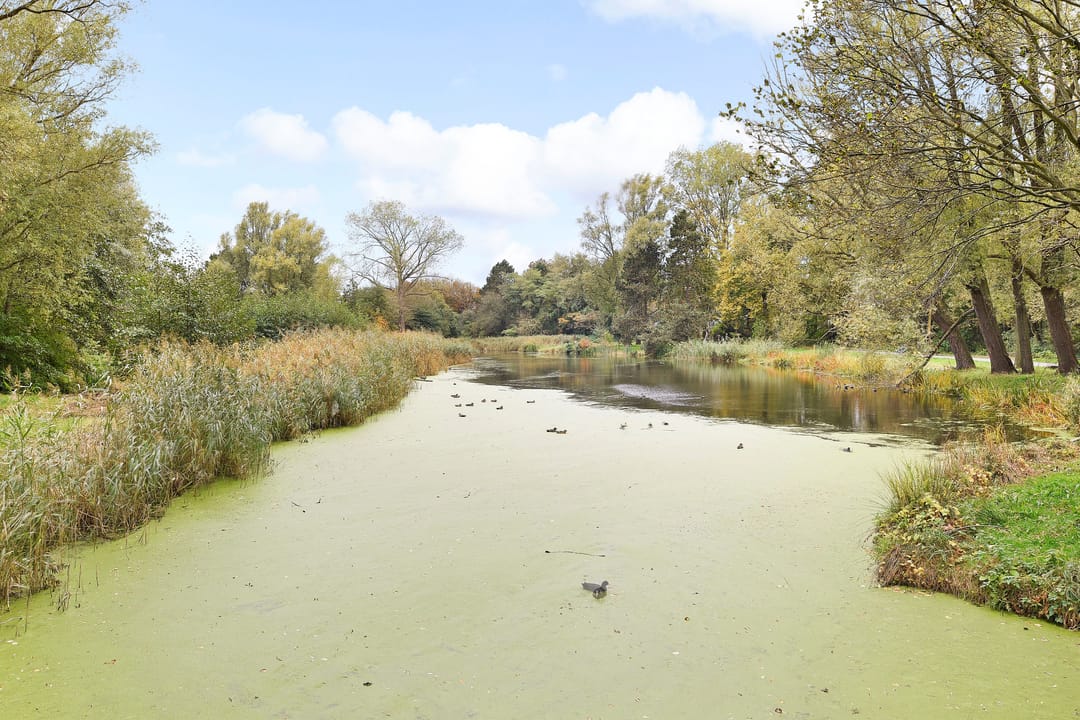 Foto 41 van Nicolaas Tulpstraat 13