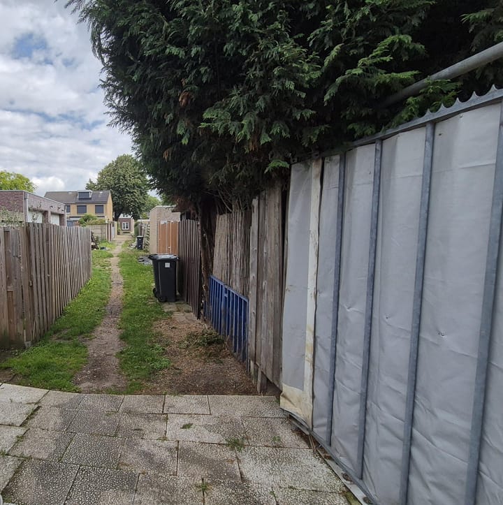 Foto 3 van Lupinestraat 198