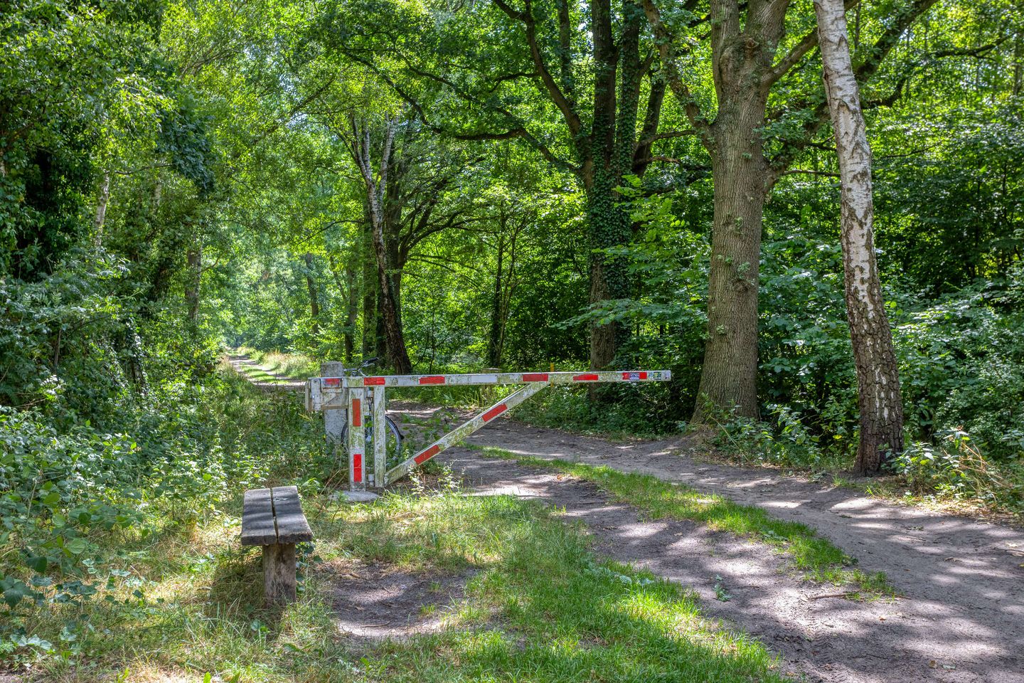 Foto 50 van Haverkampweg 82