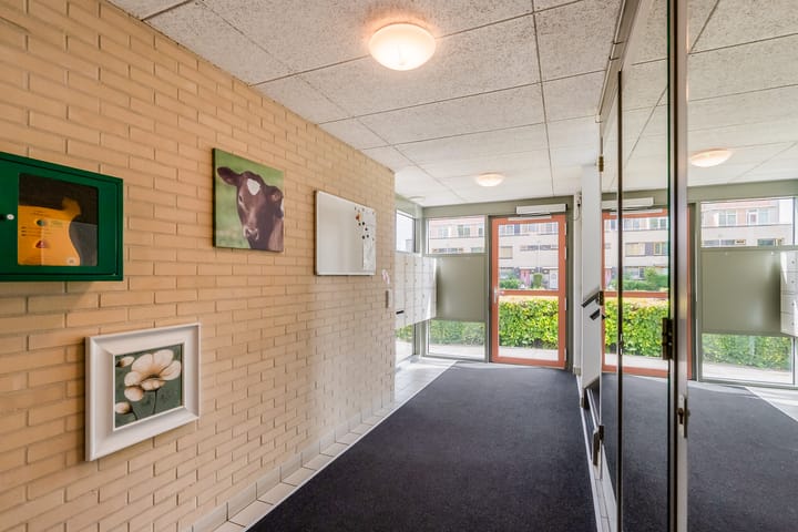 Foto 34 van Fellinilaan 442