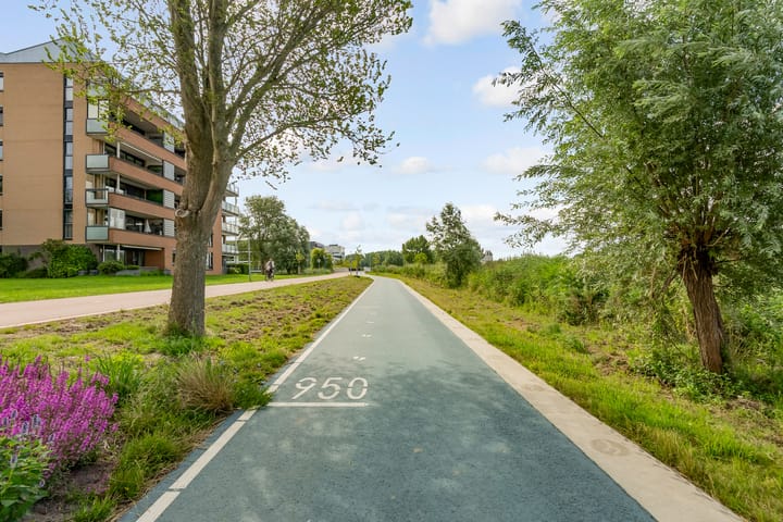 Foto 44 van Fellinilaan 442