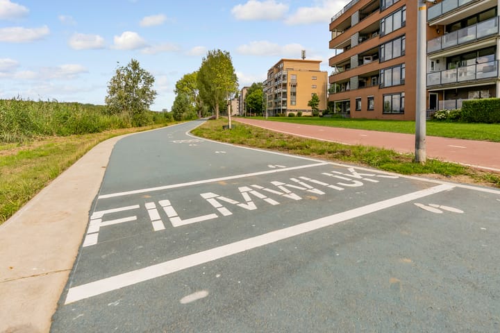 Foto 49 van Fellinilaan 442