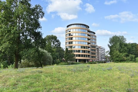 Else Mauhslaan thumbnail