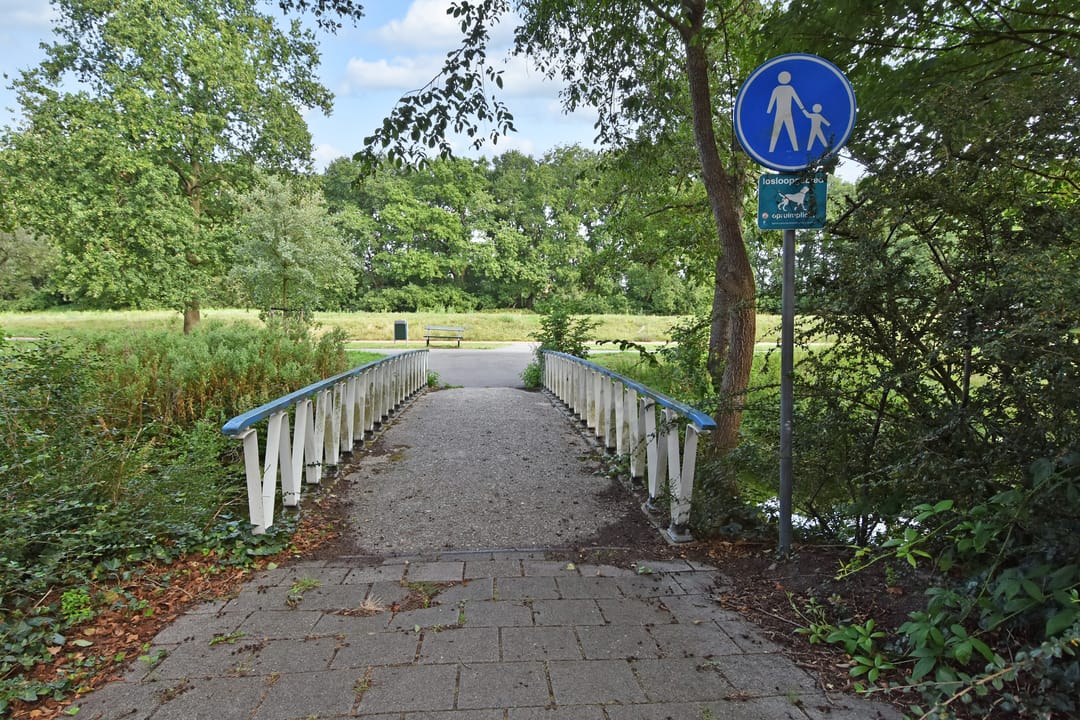 Foto 52 van Else Mauhslaan 46