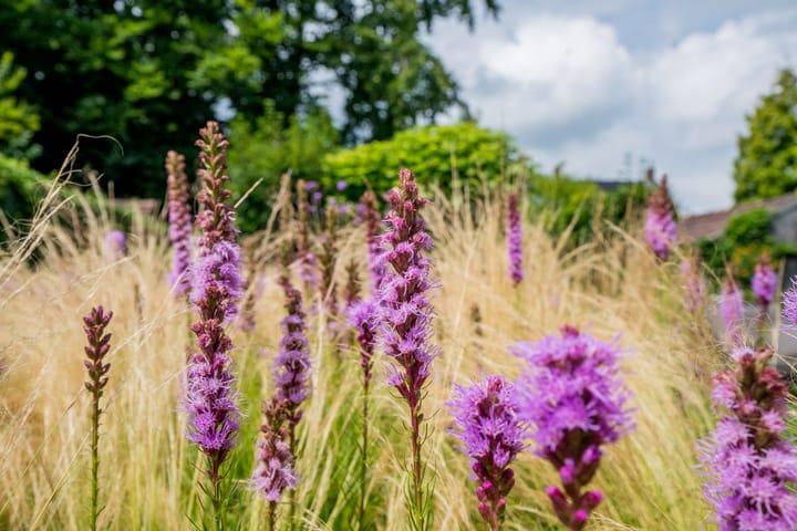 Foto 35 van Roermondseweg 170