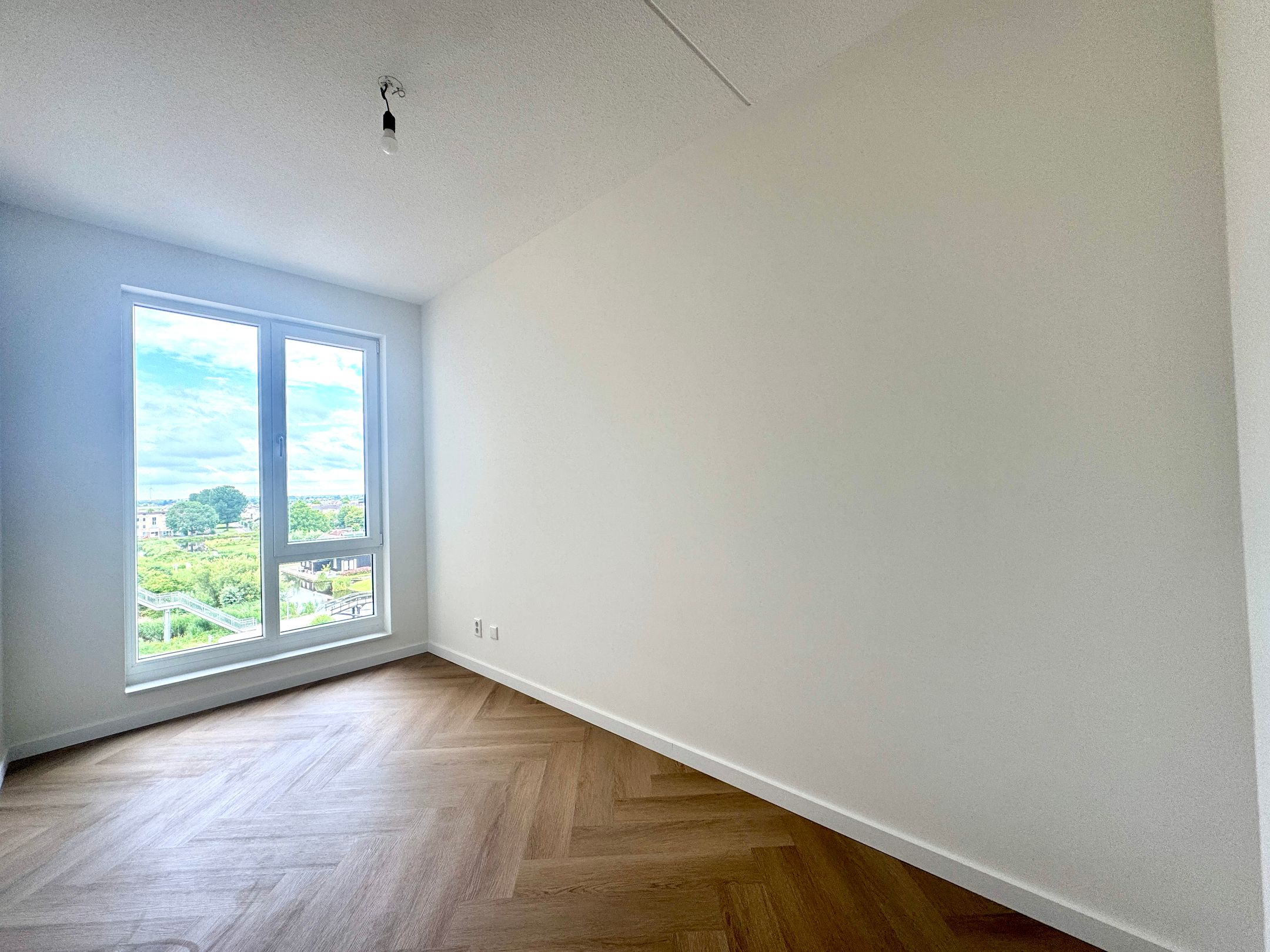 Foto 6 van Mahoniehout 411