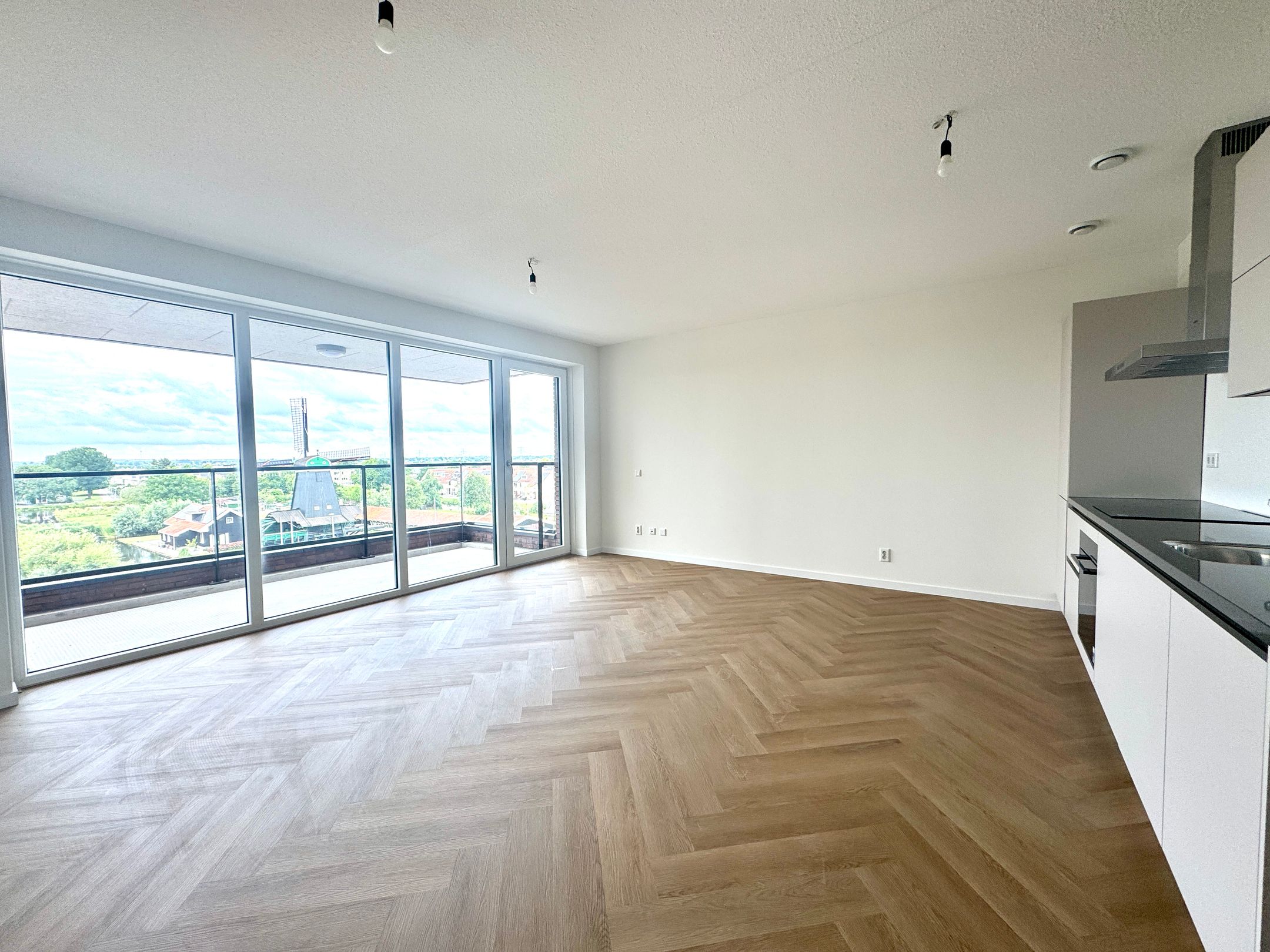 Foto 3 van Mahoniehout 411