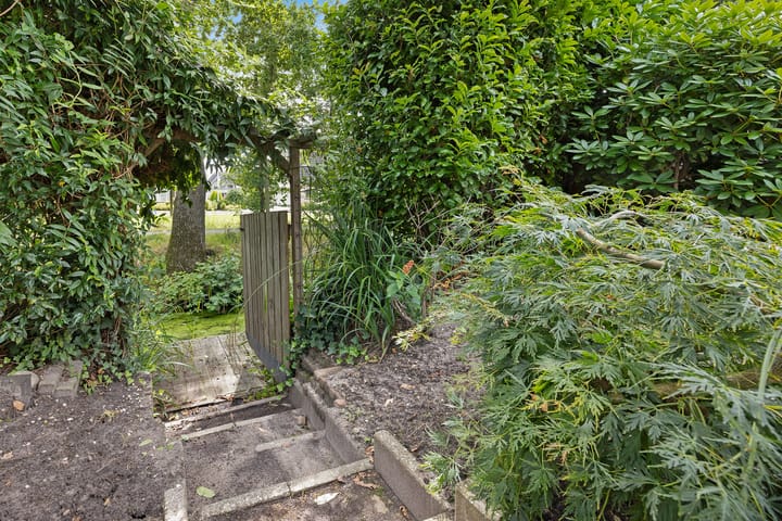 Foto 37 van Rietpol 20