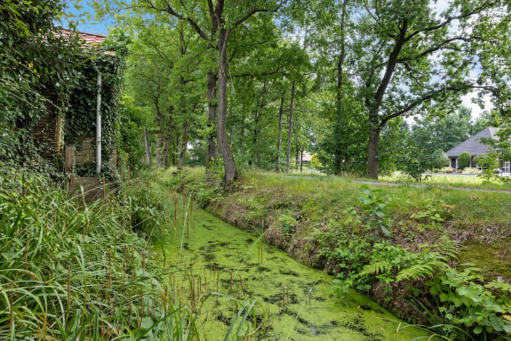 Foto 38 van Rietpol 20