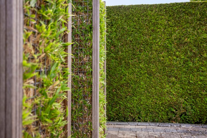 Foto 25 van Hubertusstraat 74