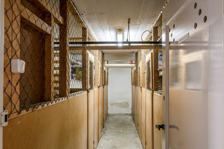 Foto 23 van Stadsmatenstraat 1-303