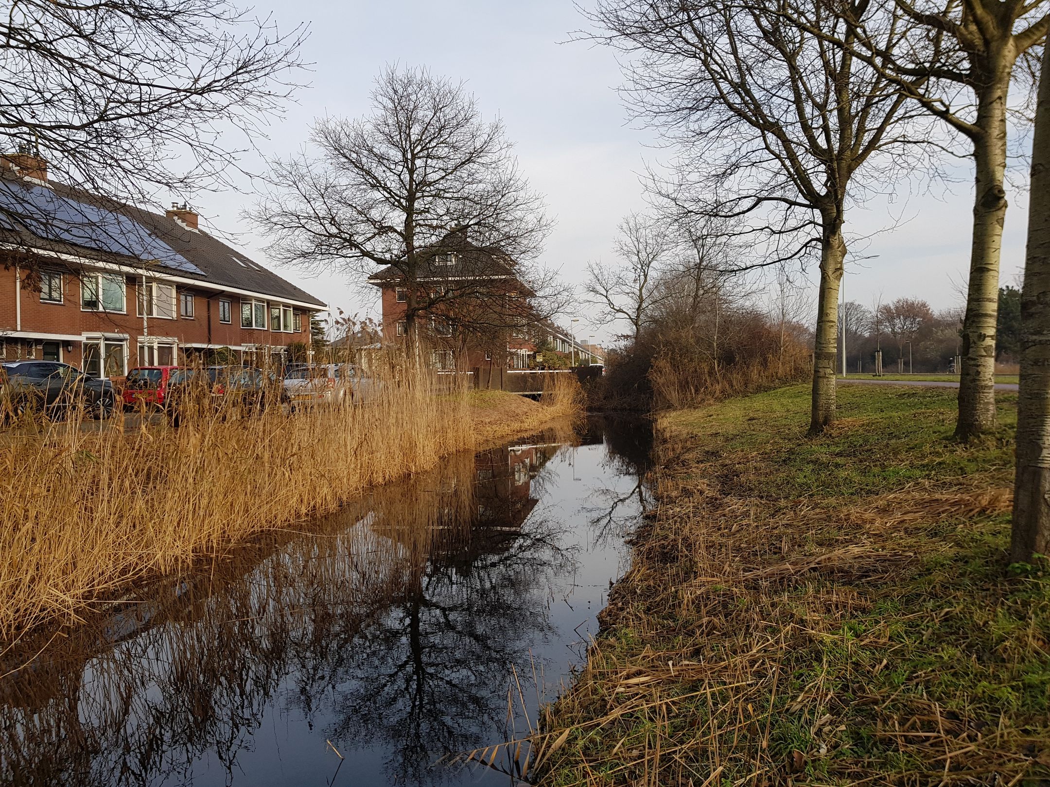 Photo 69 of Zandzeggelaan 199