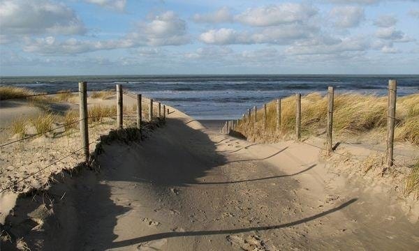 Photo 73 of Zandzeggelaan 199