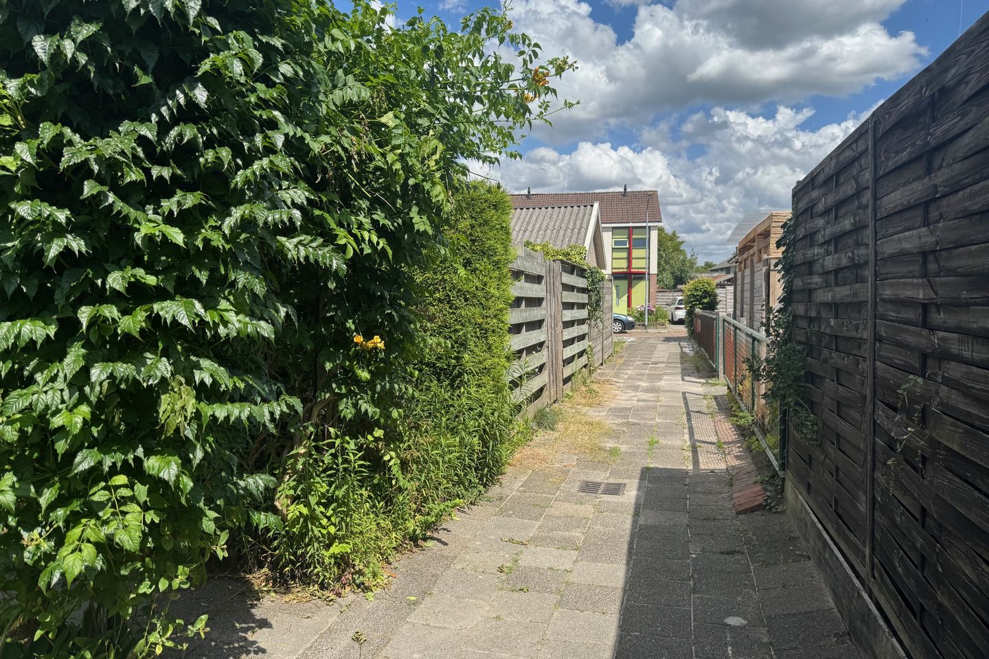 Foto 25 van Plataanweg 34