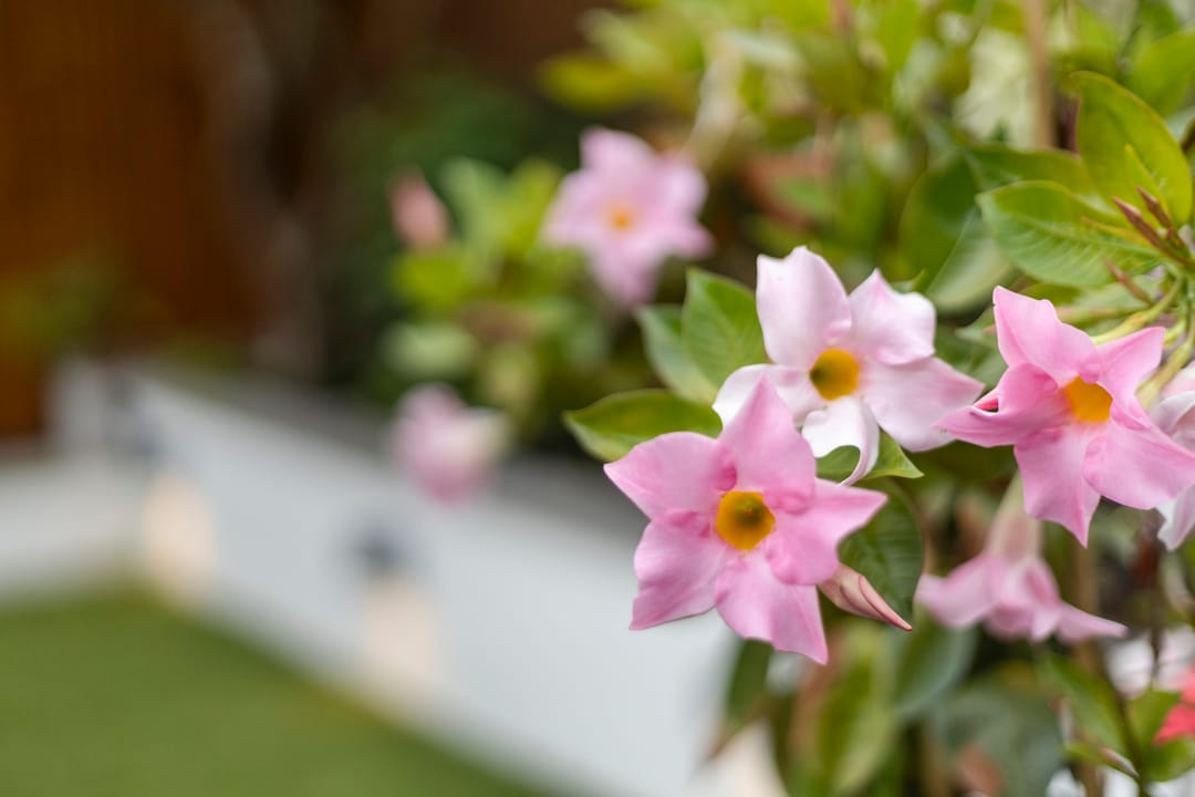 Foto 41 van Kattendoorn 28