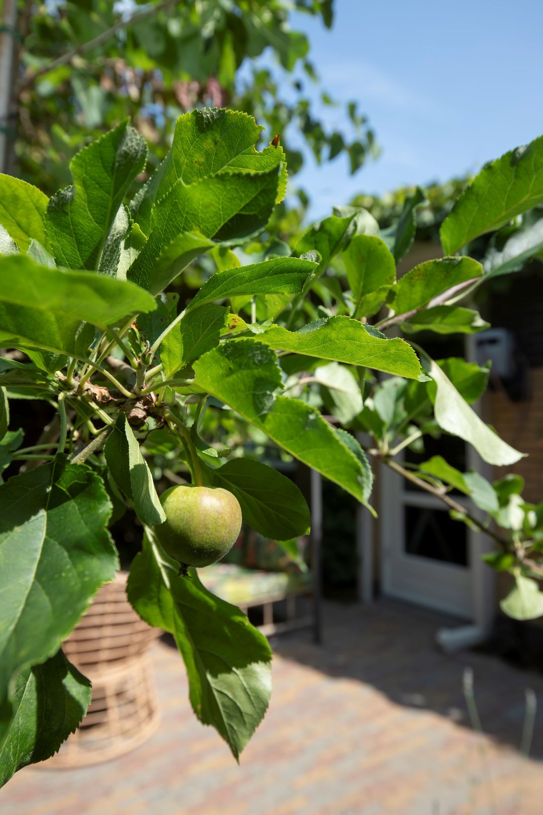 Foto 22 van Zuiderzeepark 86