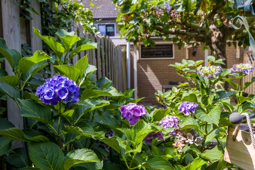 Foto 32 van Kraaienhof 41