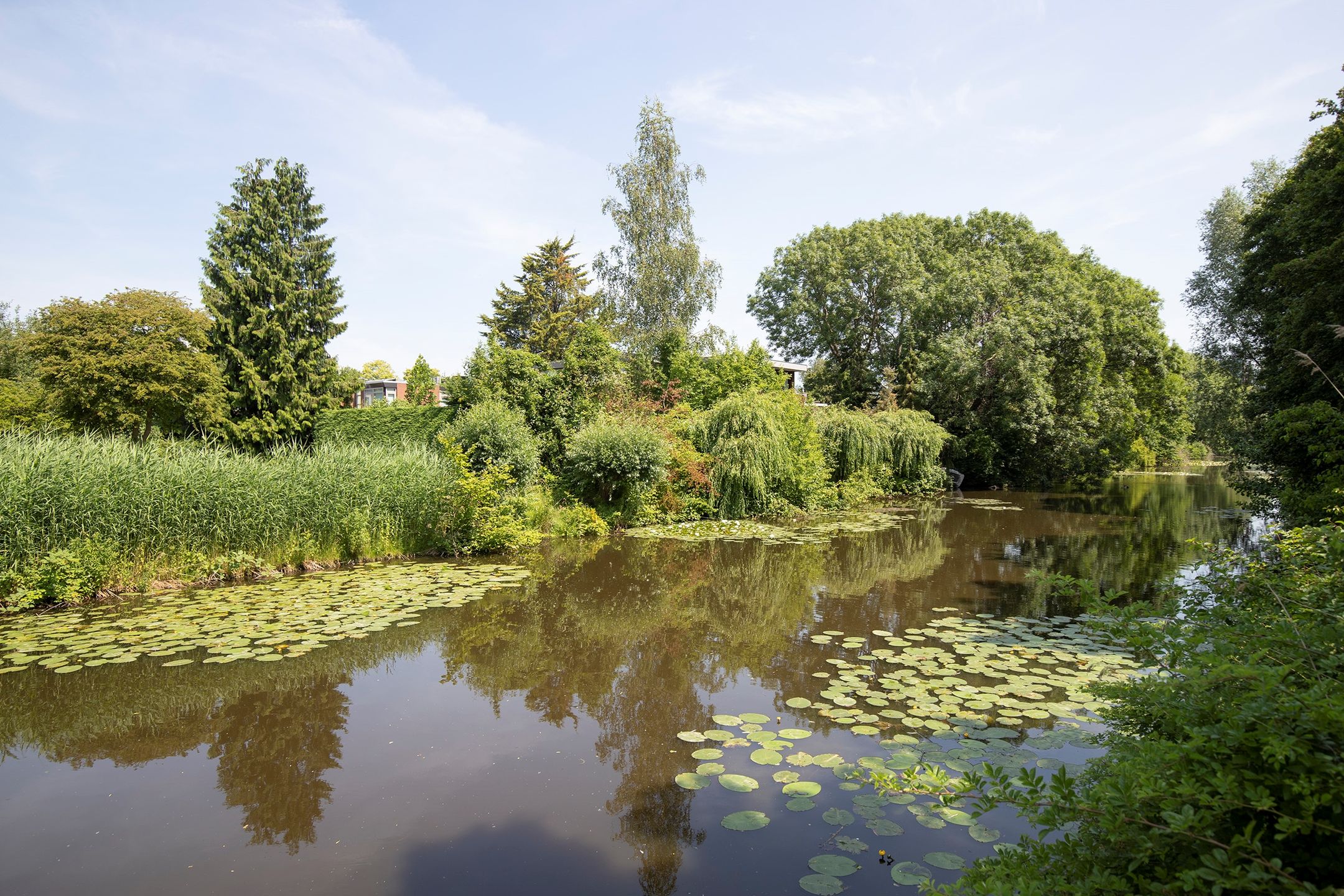 Foto 51 van Zuiderzeepark 86