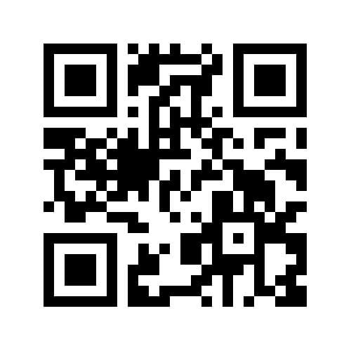 Foto 55 van Ter Borghstraat 20