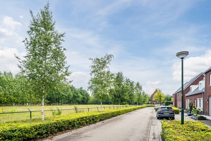 Foto 36 van Wijereind 2