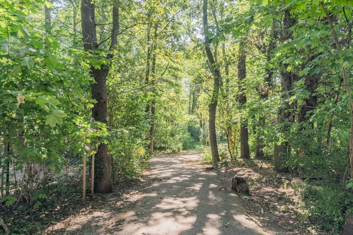 Foto 56 van Aloysiusplein 12