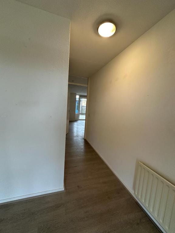 Foto 3 van Vlasakker 52