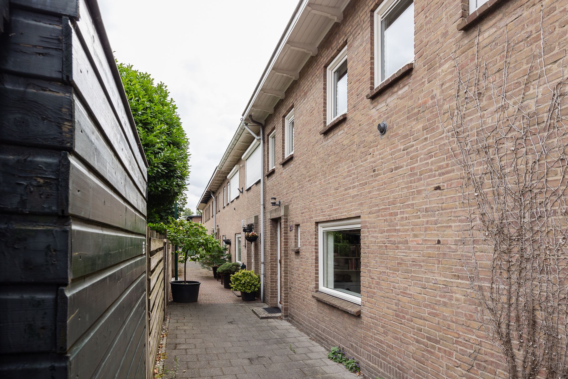 Foto 3 van Lijsterbeslaan 23