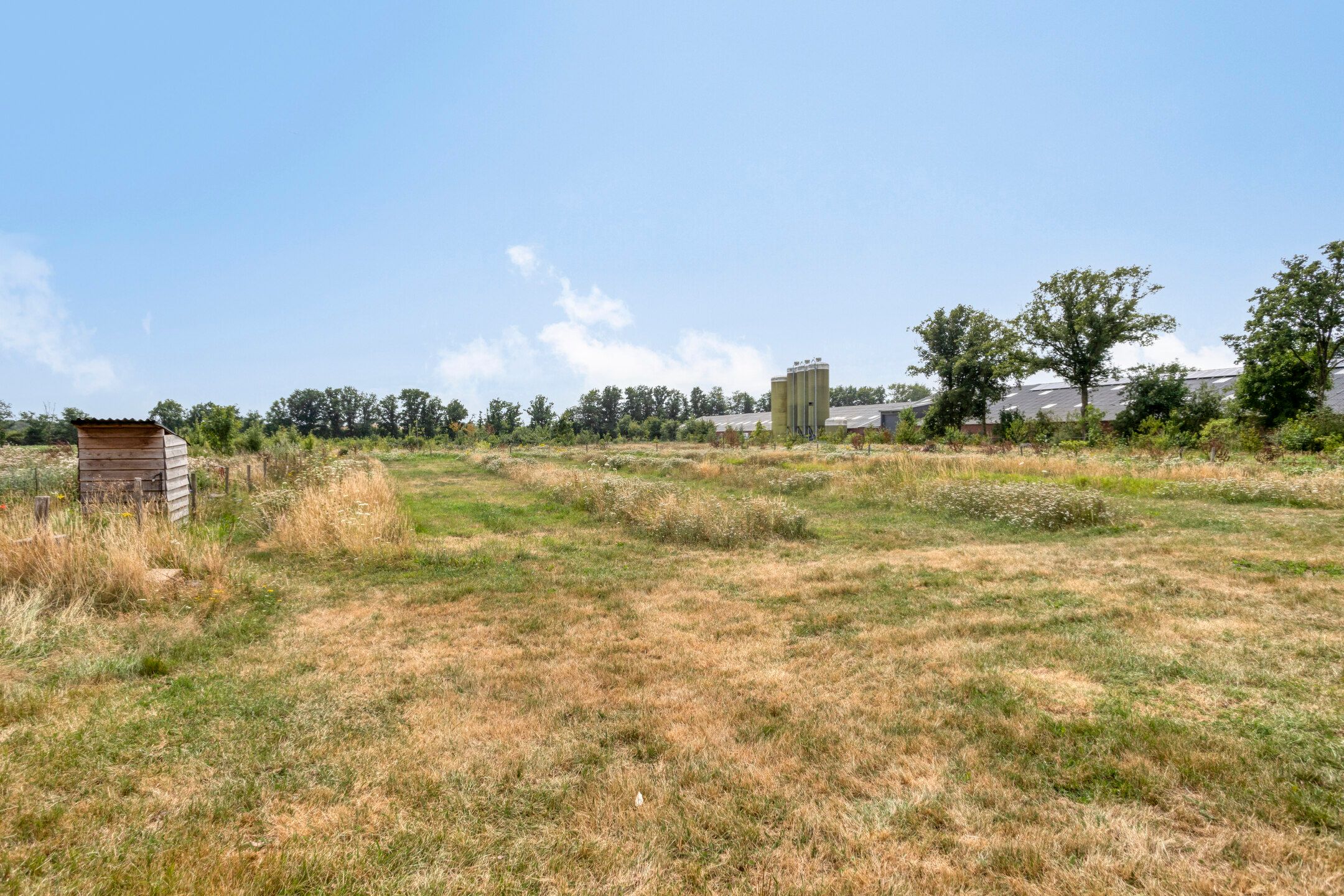 Foto 57 van Oosterheidestraat 23