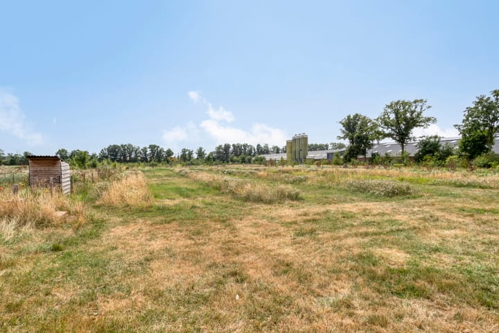 Photo 57 of Oosterheidestraat 23