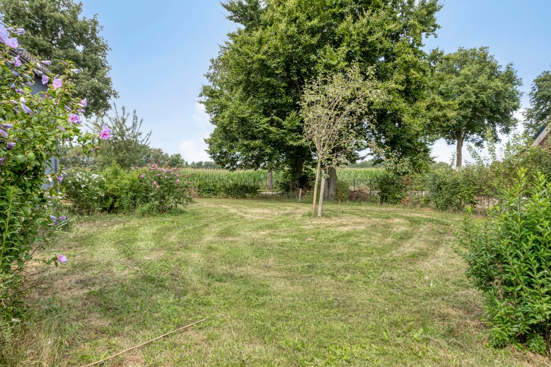 Foto 62 van Oosterheidestraat 23