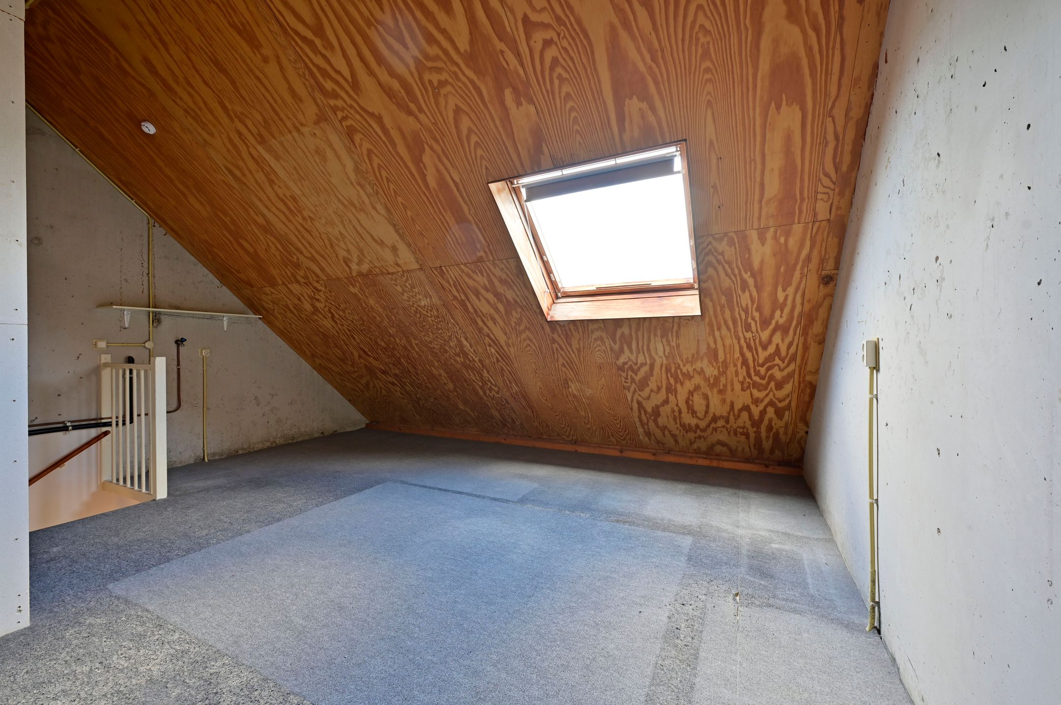 Foto 15 van Floraronde 233