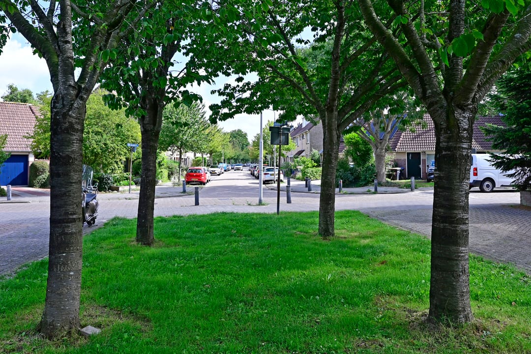 Foto 22 van Floraronde 233