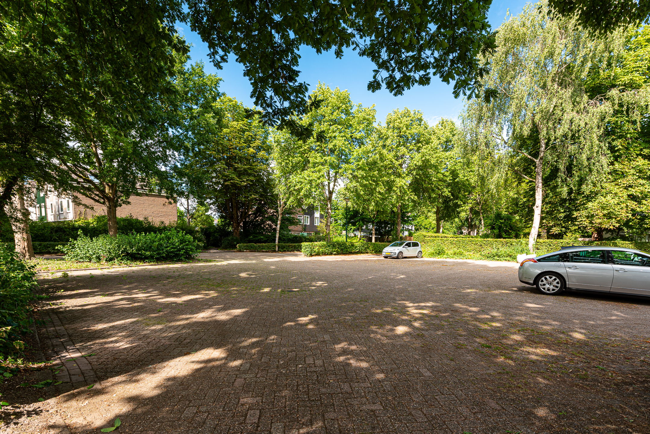 Foto 3 van Hoefijzer 60