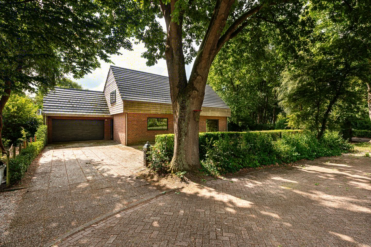 Foto 4 van Hoefijzer 60