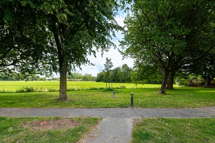 Foto 39 van Hoefijzer 60