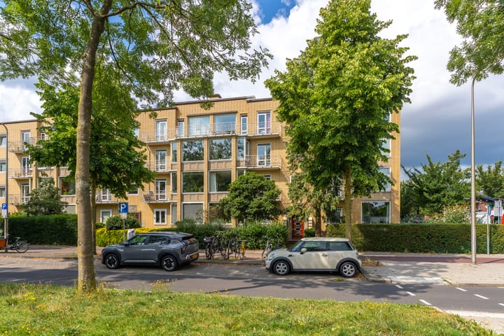 Foto 1 van Joseph Haydnlaan 50-3