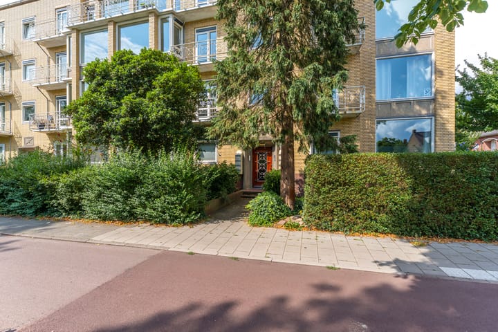 Foto 5 van Joseph Haydnlaan 50-3