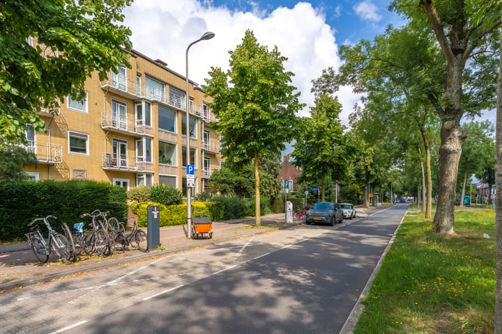 Foto 32 van Joseph Haydnlaan 50-3