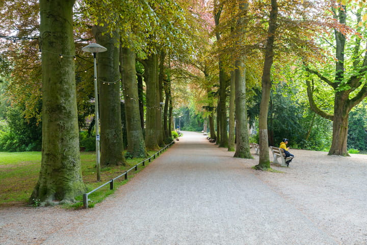 Foto 33 van Joseph Haydnlaan 50-3