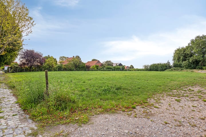 Foto 4 van Roeselaerestraat 17