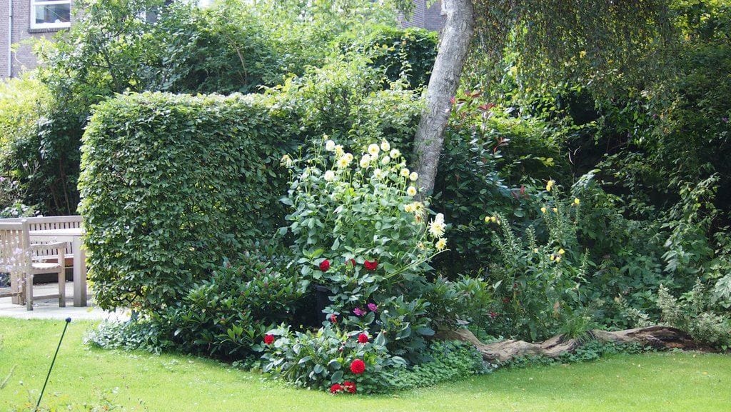 Foto 28 van Sloterkade 157-X