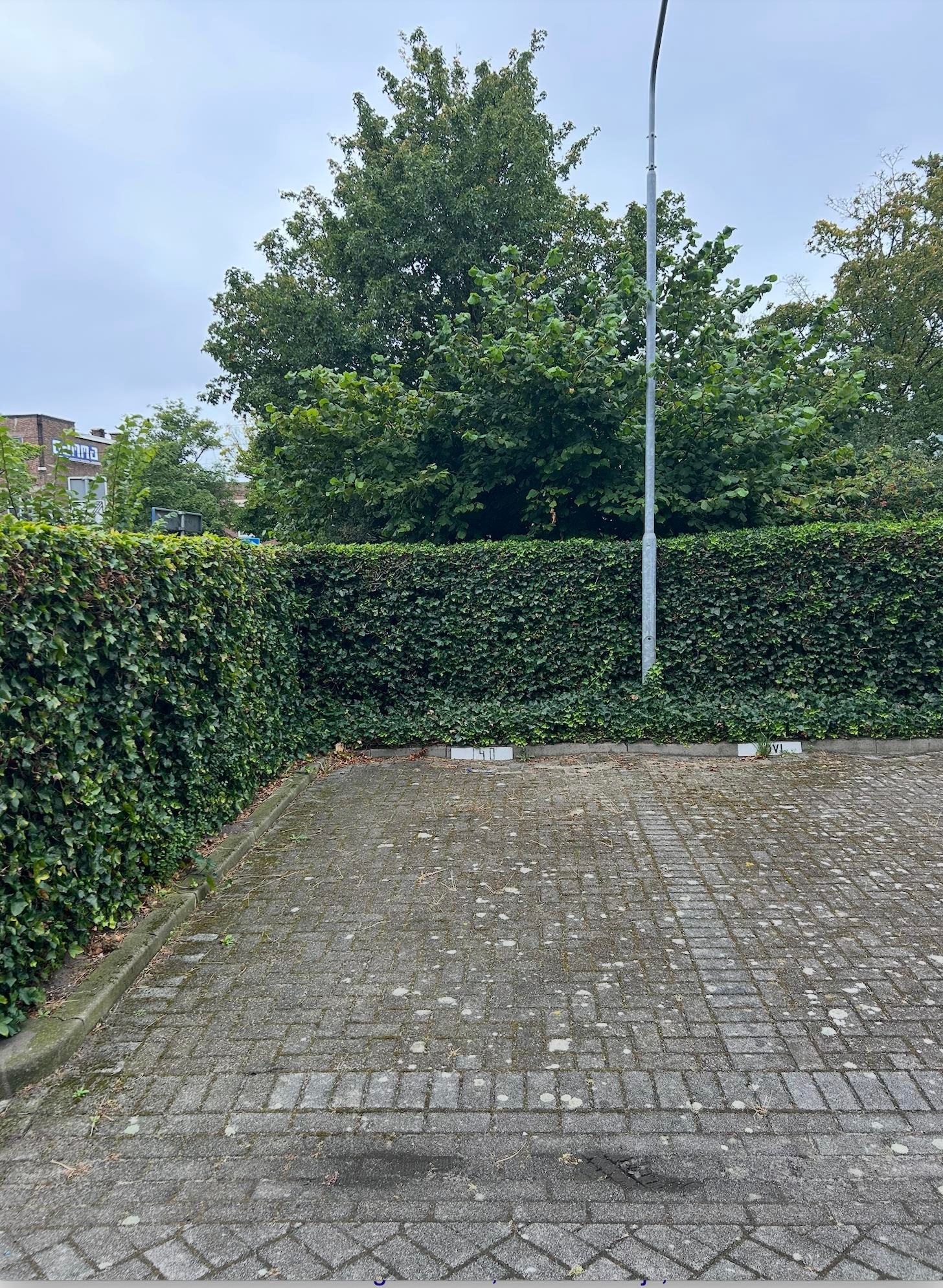 Photo 6 of Andrej Sacharowstraat