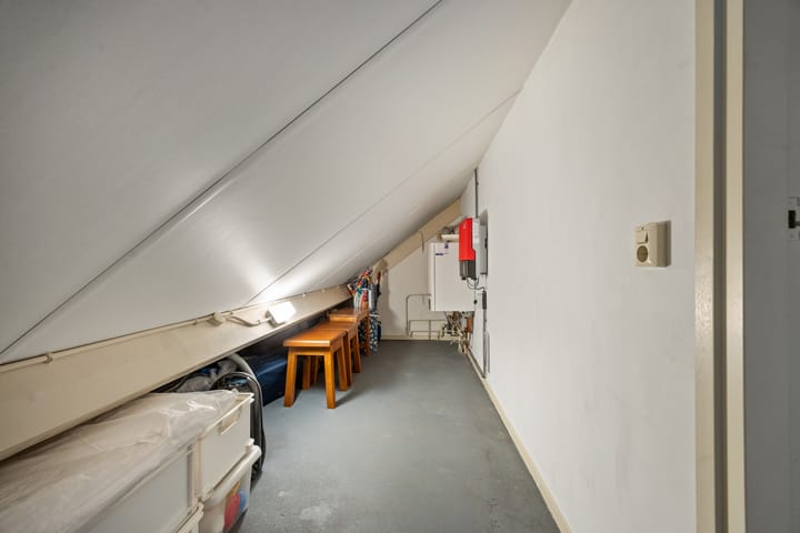 Foto 37 van Jamaïcaring 15